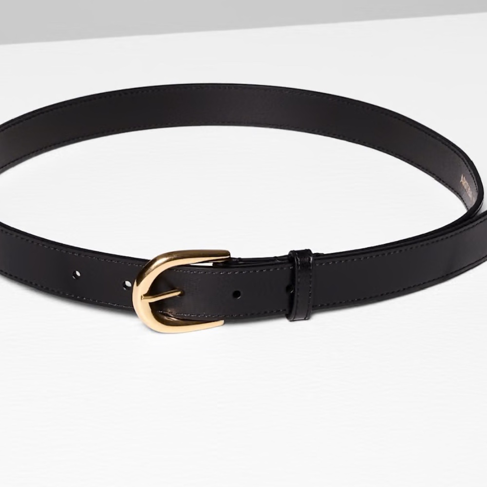 Aritzia Accent Solid Brass Leather Belt - Picture 2 of 11